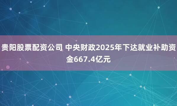 贵阳股票配资公司 中央财政2025年下达就业补助资金667.4亿元